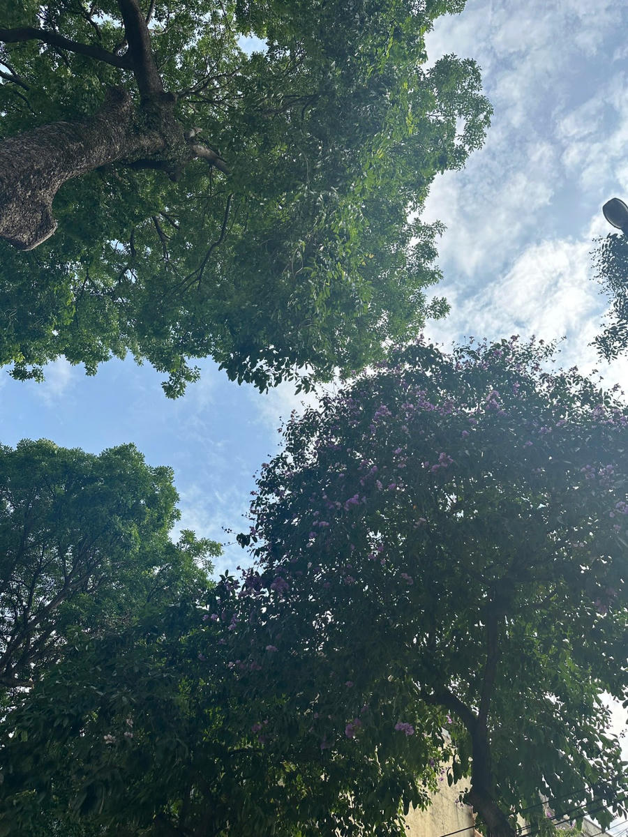 \"\"