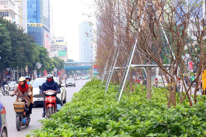 Đường Nguyễn Chí Thanh trước đây mỗi bên có hai làn xe chạy, đến nay, sau khi được xén thảm cỏ mỗi bên thêm một làn ôtô và một làn xe máy.