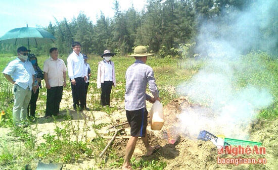 Lực lượng chức năng tiêu hủy số trứng bị thu giữ.