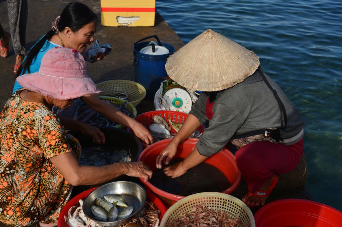 Hòa mình vào nét dân dã và hoà mình vào lối sống mộc mạc, chất phác của ngư dân.