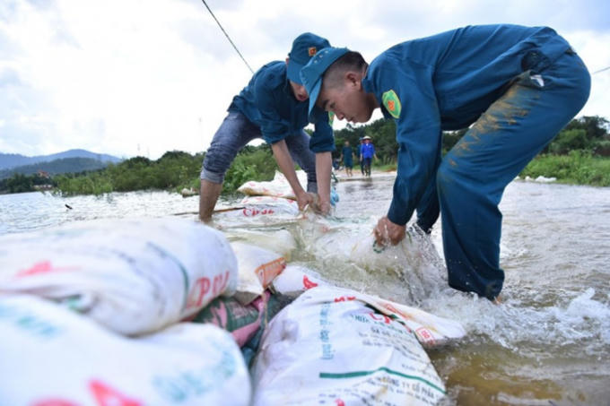 Lực lượng dân quân gia cố tuyến đê tại xã Đông Yên, Quốc Oai (Hà Nội) phòng vỡ đê. Ảnh: HẢI NGUYỄN
