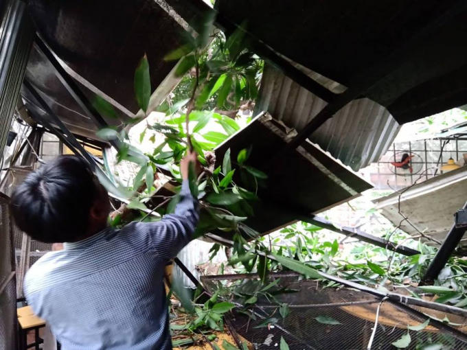 Không có thương vong về người.