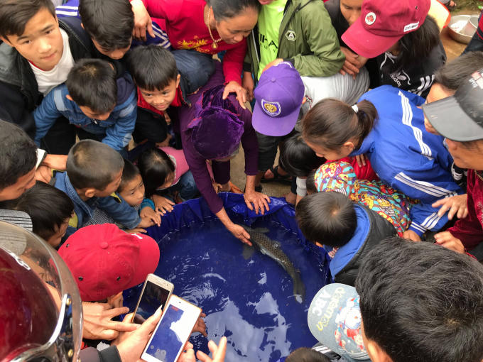 Chỉ sau một nh&aacute;t ch&agrave;i &ocirc;ng Dược đ&atilde; đưa được con c&aacute; ch&eacute;p nặng 3,2 kg l&ecirc;n bờ. Rất đ&ocirc;ng người d&acirc;n đến xem v&igrave; cho rằng con c&aacute; n&agrave;y c&oacute; những