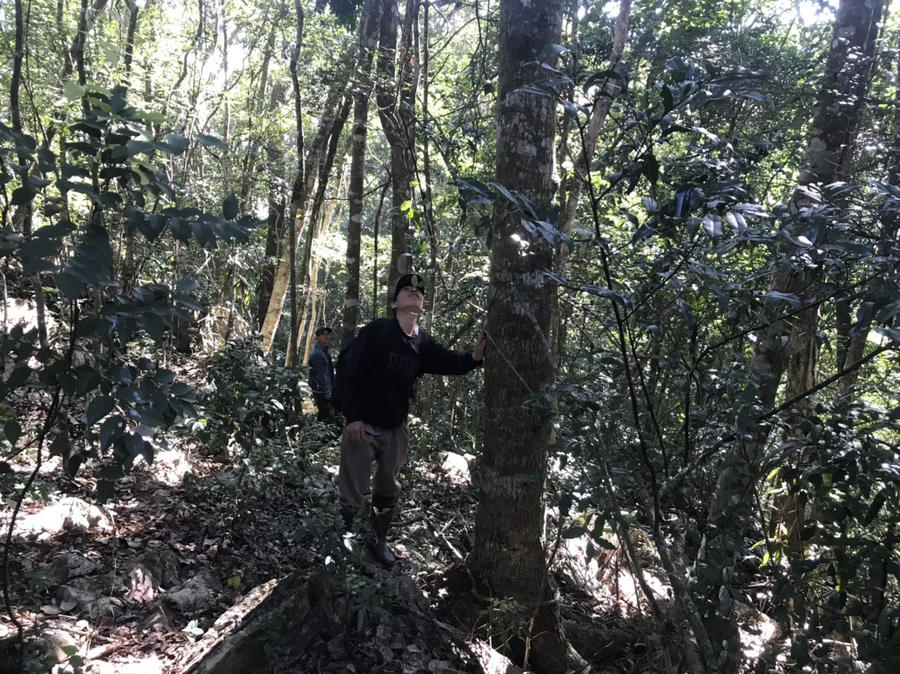 z4698549069359_4375a6c5453db7058b496d7f7caaa84f