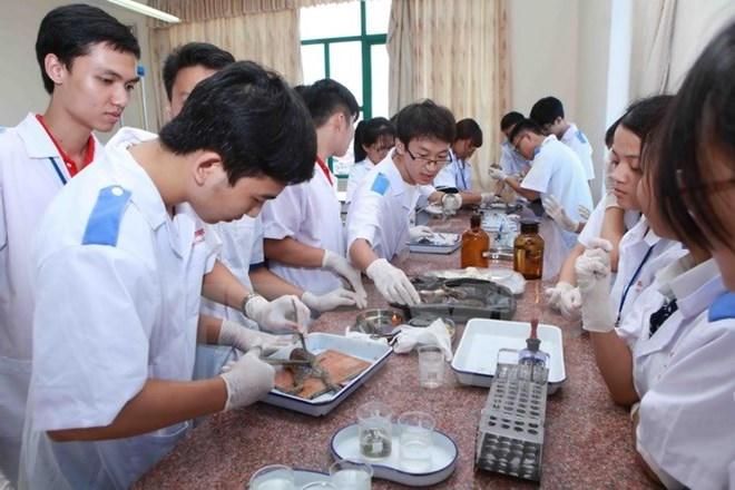 Giờ thực hành trên động vật của sinh viên trường Đại học Y Dược Hải Phòng. Ảnh: Quý Trung/TTXVN.
