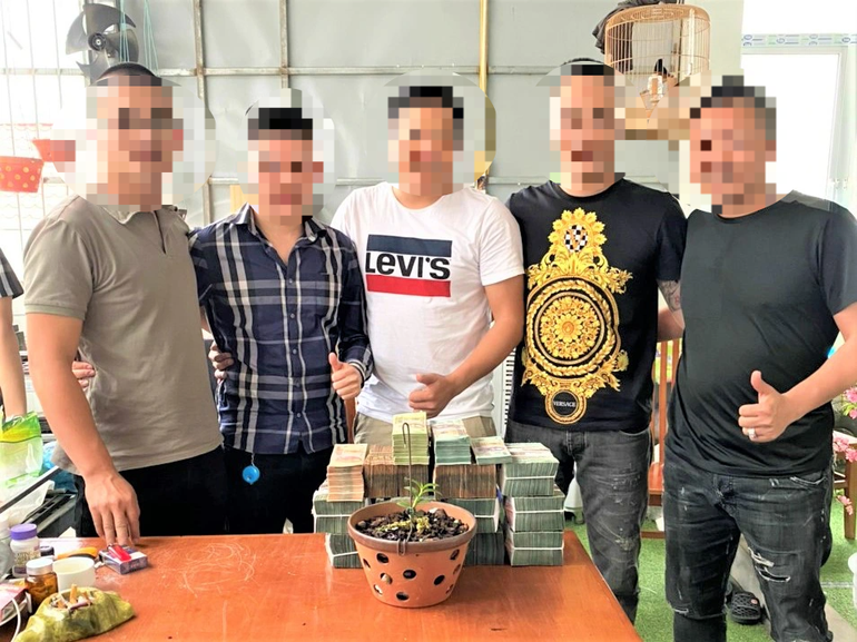 Các cuộc mua bán những cây lan bé tí tẹo nhưng có giá hàng chục tỷ đồng gây