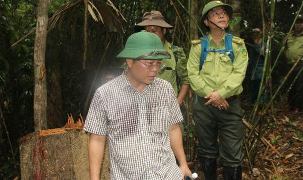 Ông Lê Trí Thanh cùng các lực lượng chức năng kiểm tra hiện trường phá rừng ở Đông Giang.