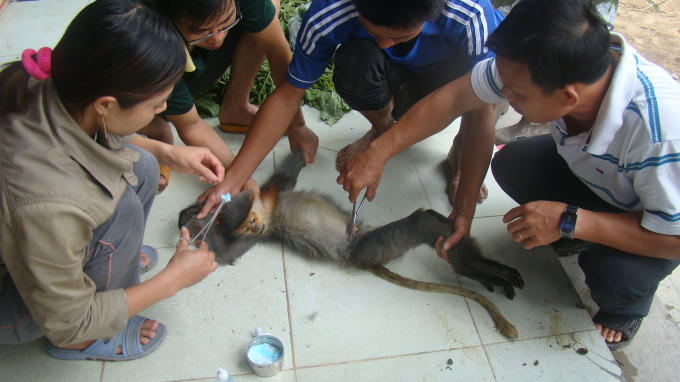 Dieu tri vet thuong (2)