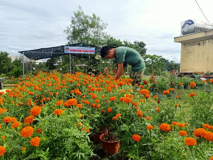 Bai bao xuan_luonganh_tet trong quan ngu_h 3