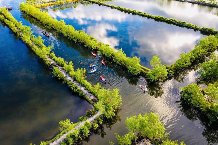 Các tour du lịch khám phá vùng đầm phá Tam Giang hấp dẫn du khách.