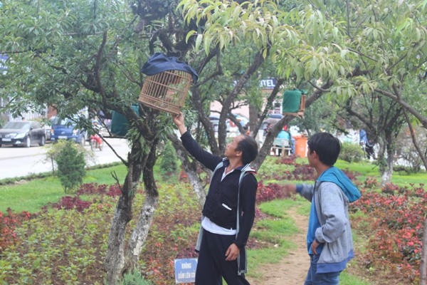 Ở góc chợ này dành cho những người mê nuôi chim, ngoài trao đổi buôn bán họ còn truyền cho nhau những kinh nghiệm nuôi chim của mình.