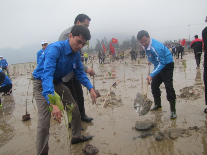 10.000 cây xanh đã được trồng tại ven biển xã Cẩm Lĩnh, huyện Cẩm Xuyên (Hà Tĩnh).