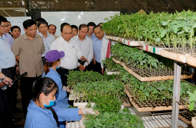 Công ty có trang trại trồng các loại rau, quả diện tích 55ha, sản lượng 5.000 tấn/năm. Ngoài ra, công ty còn đang liên kết với 30 hộ dân để sản xuất nông sản với diện tích 75ha. Nhờ ứng dụng công nghệ cao trong sản xuất, từ khâu giống đến thu hoạch, nên công ty đã đạt doanh thu cao trên một đơn vị diện tích.