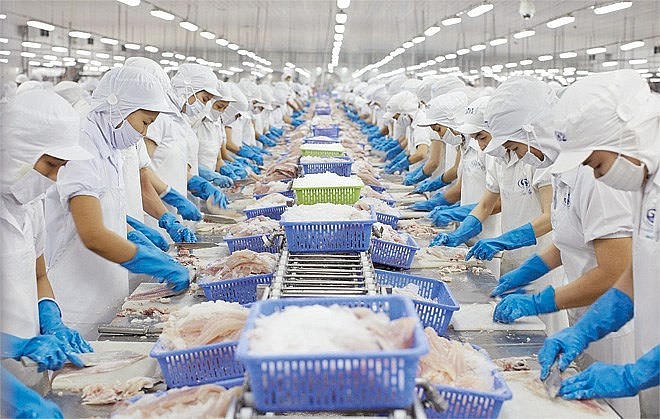 Xuất khẩu thuỷ sản đạt trên 10 tỷ USD đã thể hiện sự nỗ lực và chung tay của toàn ngành thuỷ sản. (Ảnh minh hoạ cho bài viết).