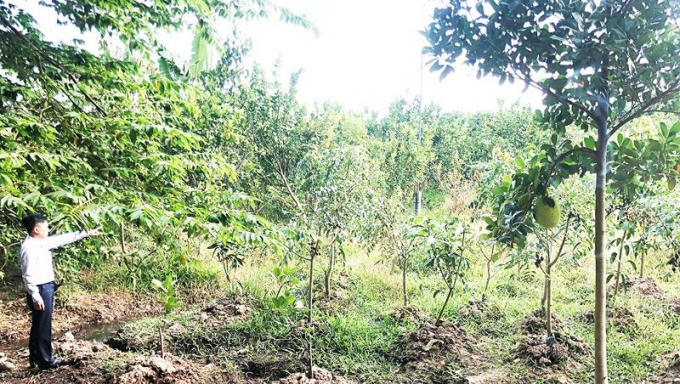 Thửa đất của ông Nam còn 789m2 bị giải tỏa.