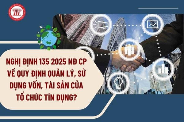 Nghị định số 135/2025/NĐ-CP quy định chế độ tài chính đối với tổ chức tín dụng.
