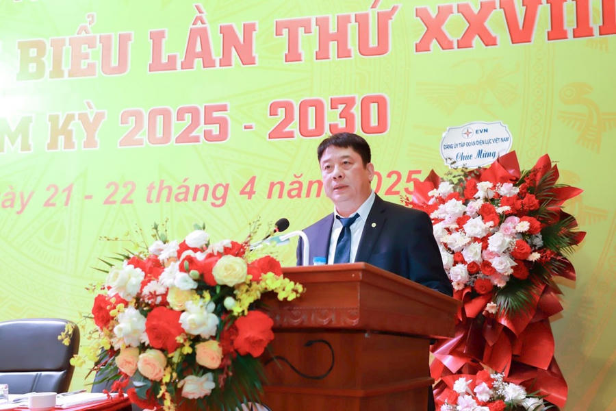 Ông Nguyễn Anh Tuấn - Phó Bí thư Đảng ủy, Thành viên Hội đồng thành viên, Tổng giám đốc EVN phát biểu chỉ đạo Đại hội.