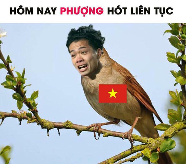 Ảnh: Internet
