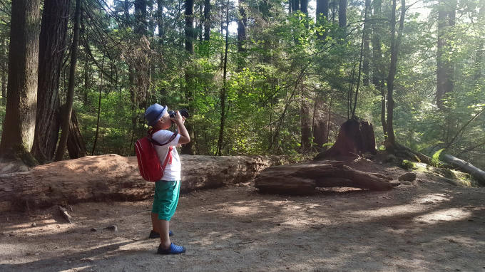 70965372_490070174876547_1881246987622285312_n