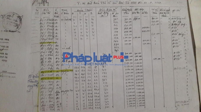 Thống kê bán đất thông Ngọc Long từ 1989 - 1994