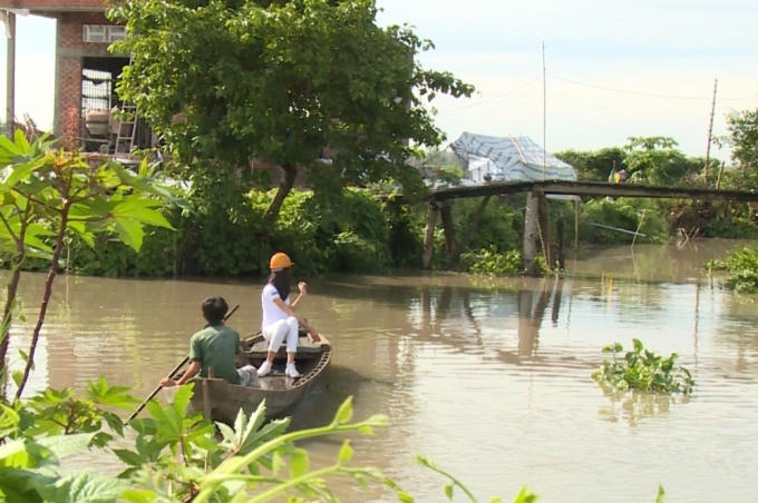 Hoa hậu Việt Nam 2016: Th&iacute; sinh Hoa hậu Việt Nam cao 1,8m tỏ t&igrave;nh với Trấn Th&agrave;nh