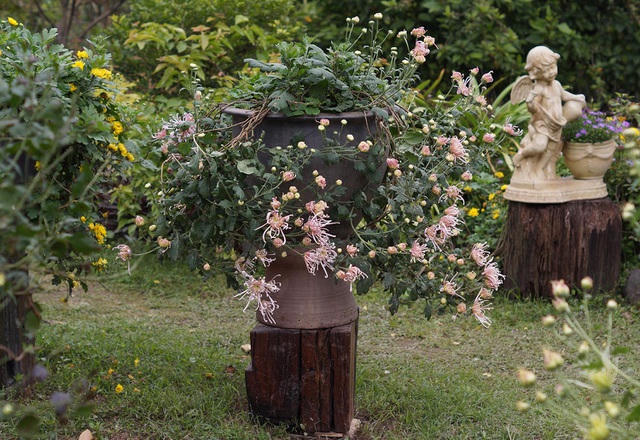 Thông thường, cây muốn lên được dáng thế đẹp, chuẩn bonsai thì phải mất tới 2 - 3 năm tạo kiểu
