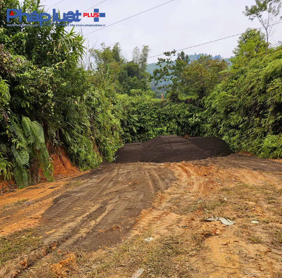 z4865752647878_95cfc9fa43d26f27ec05478f8e10bf5b