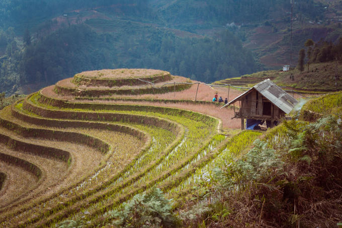 Những đứa trẻ vùng cao Mù Căng Chải