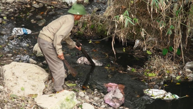Sau cơn mưa ngày 31/04, nhiều xác động vật đổ dồn về sông Phó Đáy (Ảnh ĐV)