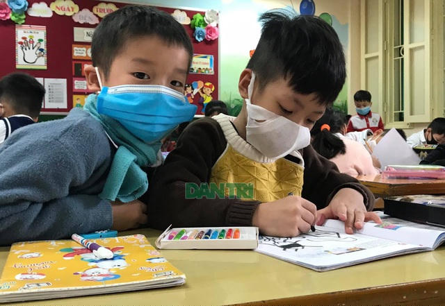 Địa phương có thẩm quyền quyết định về tuyển sinh đầu cấp. Sở GD&ĐT xây dựng phương án tuyển sinh trình UBND tỉnh, thành phố.