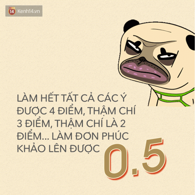 Lên 0,5 điểm đã là may, có bạn sau khi phúc khảo xong còn bị hạ điểm nữa cơ.