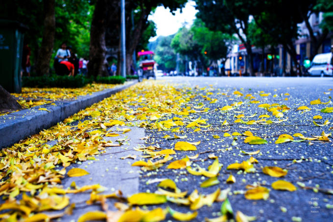 Nguồn: Sưu Tập