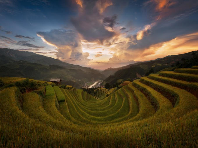 Bức tranh thiên nhiên Mù Cang Chải tuyệt đẹp được "tô vẽ” trên 2.200 ha ruộng bậc thang kỳ vĩ đang vàng rực làm nao lòng bất cứ ai khi đến thăm vào thời điểm này. Bất kể góc độ nào, bạn cũng có thể ghi lại cho mình những hình ảnh đầy ấn tượng.