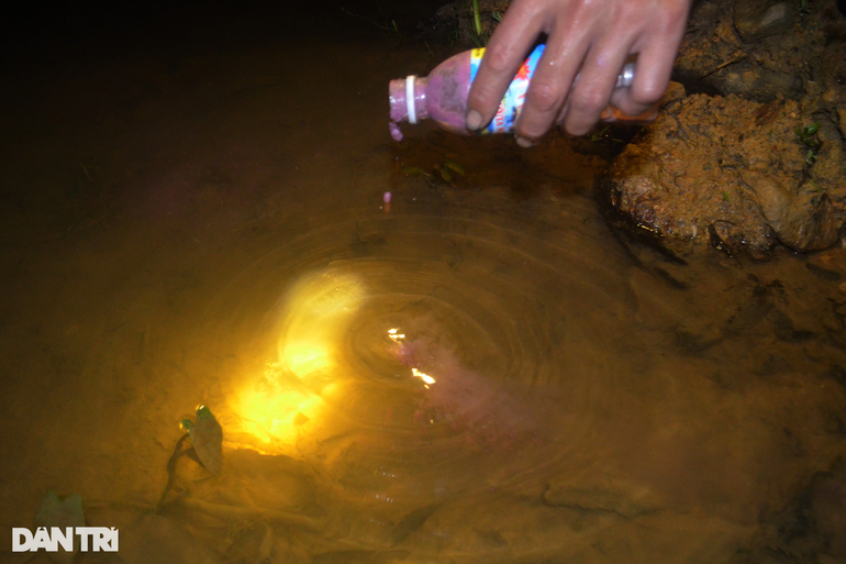 Vì cua đá sống ở các khe núi, hốc đá trong rừng nên muốn bắt được chúng không hề đơn giản. Để bắt loại cua này, người dân miền núi Nghệ An có bí quyết là dùng mắm tôm làm mồi nhử