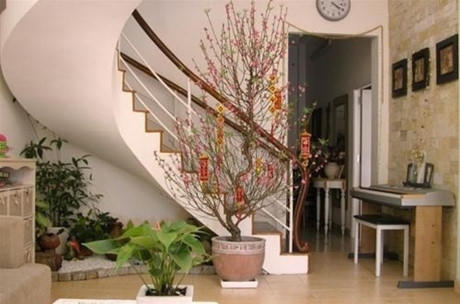 Đào đặt ở trung gian, hoặc ở giữa. Ảnh: Internet