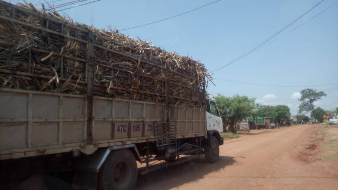 Xe chở mía cao vút nóc đi qua chốt liên ngành nhưng không bị kiểm tra.