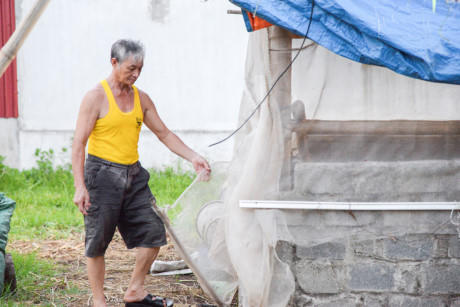 Với ông Ngân, để trâu trở nên hiền lành, quý người thì ngay bản thân người nuôi trâu cũng phải yêu quý nó. Ông xây chuồng trâu ngay cạnh nhà, hàng ngày dọn dẹp để con vật có chỗ ăn ngủ sạch sẽ và thoải mái.