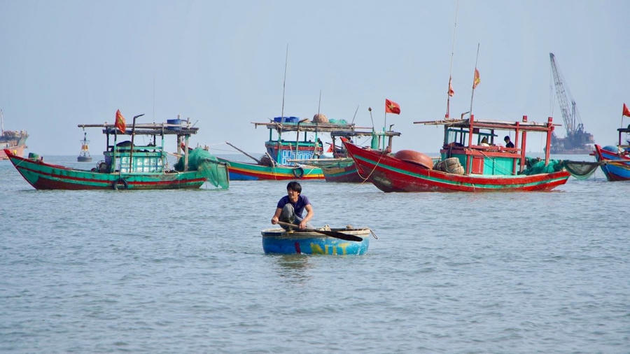 Anh Thành đưa moi vào bờ. Ảnh NDCC