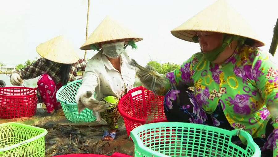 Hội nghị đối thoại với nông dân trên địa bàn tỉnh Bạc Liêu để hỗ trợ nông dân chuyển từ sản xuất nông nghiệp sang kinh tế nông nghiệp, phát triển nông nghiệp bền vững.
