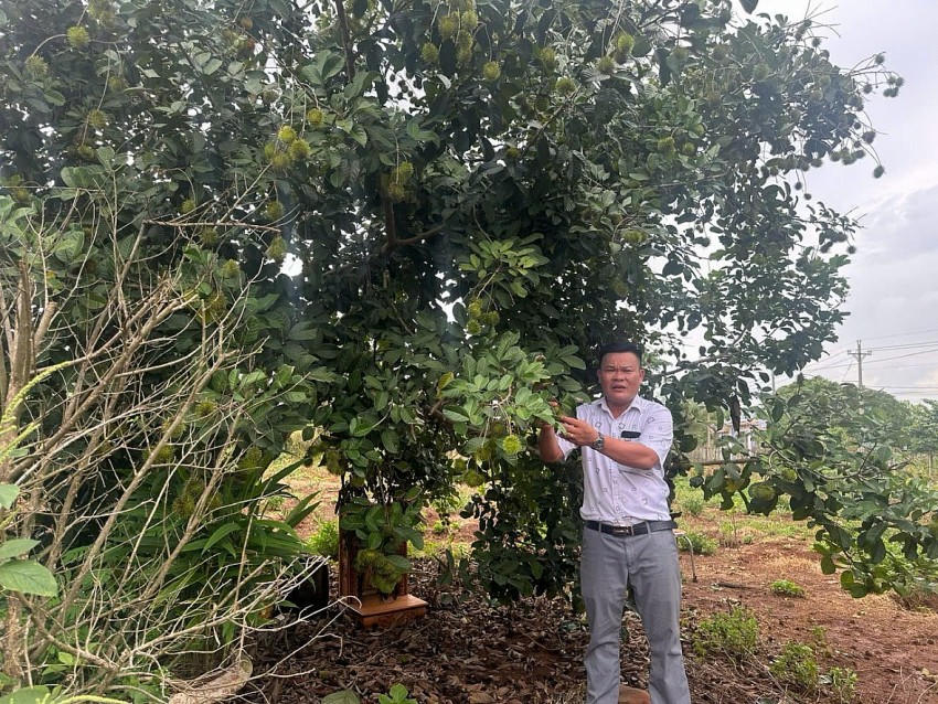 PCT UBND phường Bảo Vinh Nguyễn Văn Nghĩa.