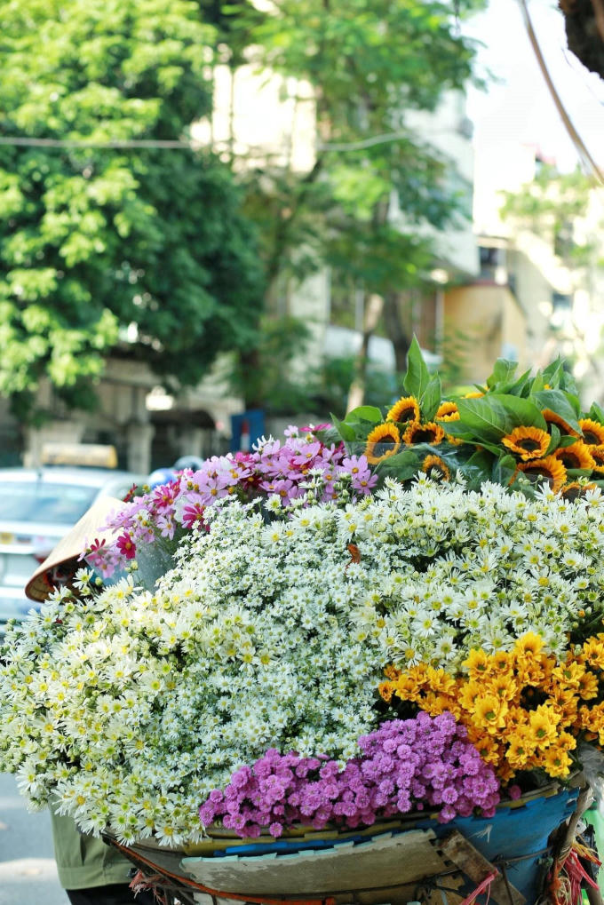 249275096_989901714907892_5994106013727351462_n