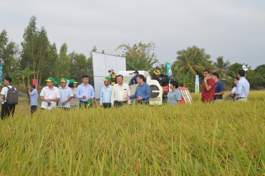 Nhiều giải pháp về canh tác lúa bền vững được thảo luận sôi nổi tại diễn đàn