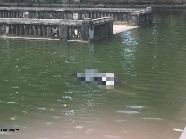 thi-themeitu1-15674876473561333363608