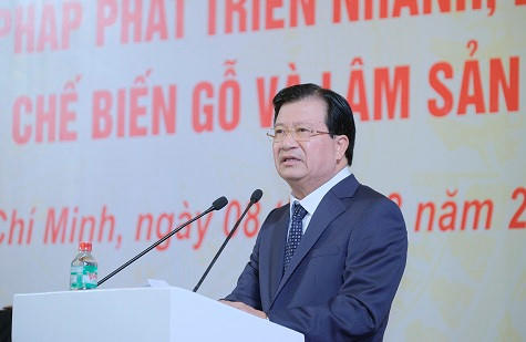 Phó Thủ tướng Trịnh Đình Dũng: Nguồn Chính phủ.