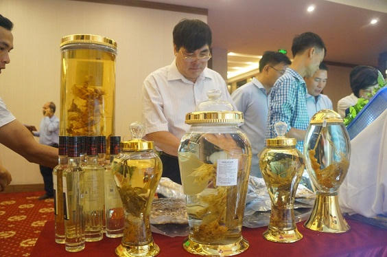 Choáng với 2 bình sâm Ngọc Linh quý giá hơn 15 cây vàng ở xứ Quảng