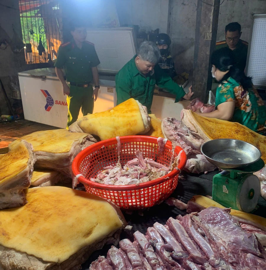 Số thịt heo bị nhiễm dịch tả châu Phi được kiểm tra trước khi mang đi tiêu hủy (Ảnh: Công an Bình Phước).