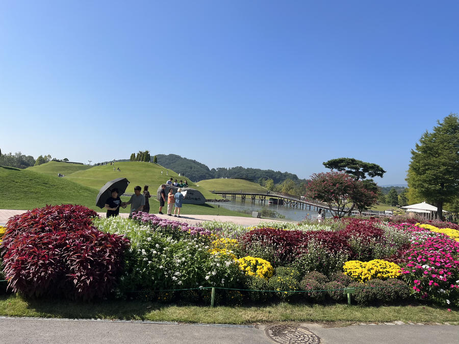 z4746156908032_8fb3b1aea708ab76f83b55d0865829c8