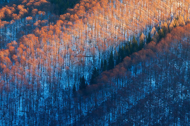Lặng người vẻ đẹp nơi biên giới Ba Lan - Slovakia