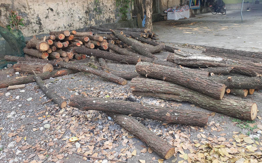 334921698_582746560430479_7626539556693472205_n