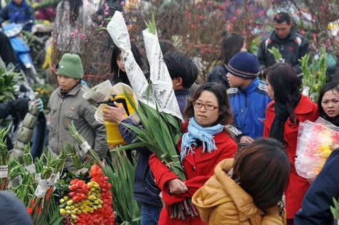 Sẽ tổ chức chợ hoa xuân tại 47 địa điểm trên toàn TP Hà Nội.